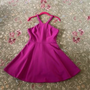 Elizabeth and James Magenta Dress